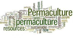 permaculture چیست