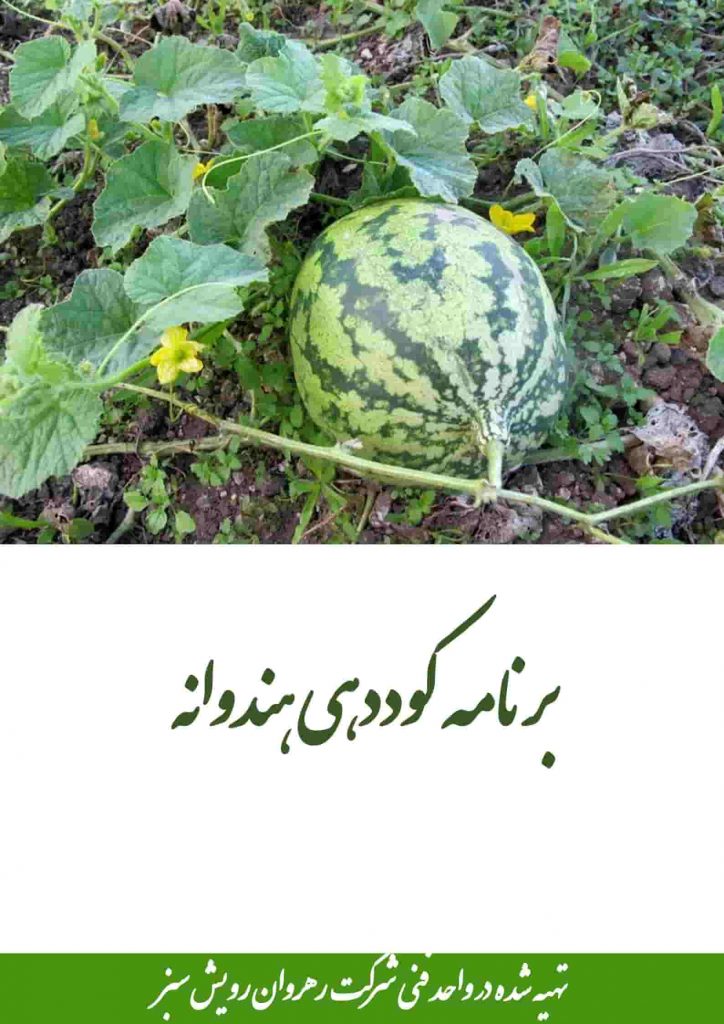 برنامه کوددهی هندوانه