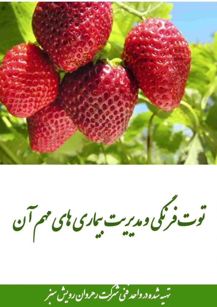 مدیریت بیماری های مهم توت فرنگی