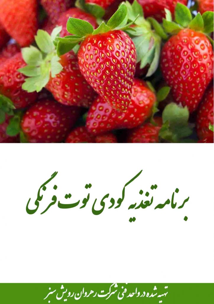کوددهی توت فرنگی