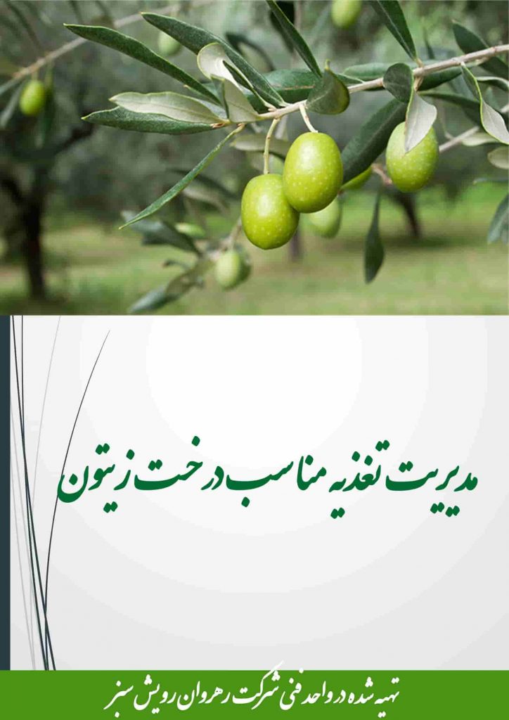 کوددهی زیتون
