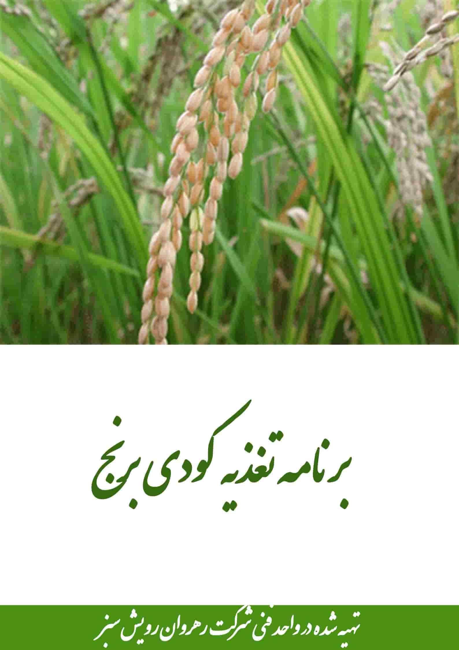 برنامه تغذیه کودی برنج