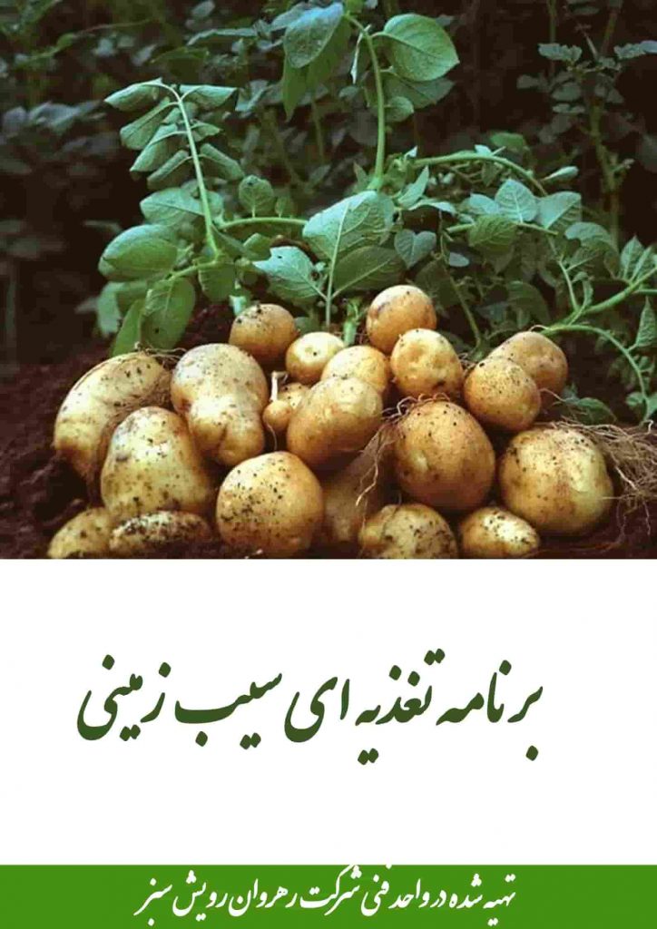 برنامه تغذیه ای سیب زمینی