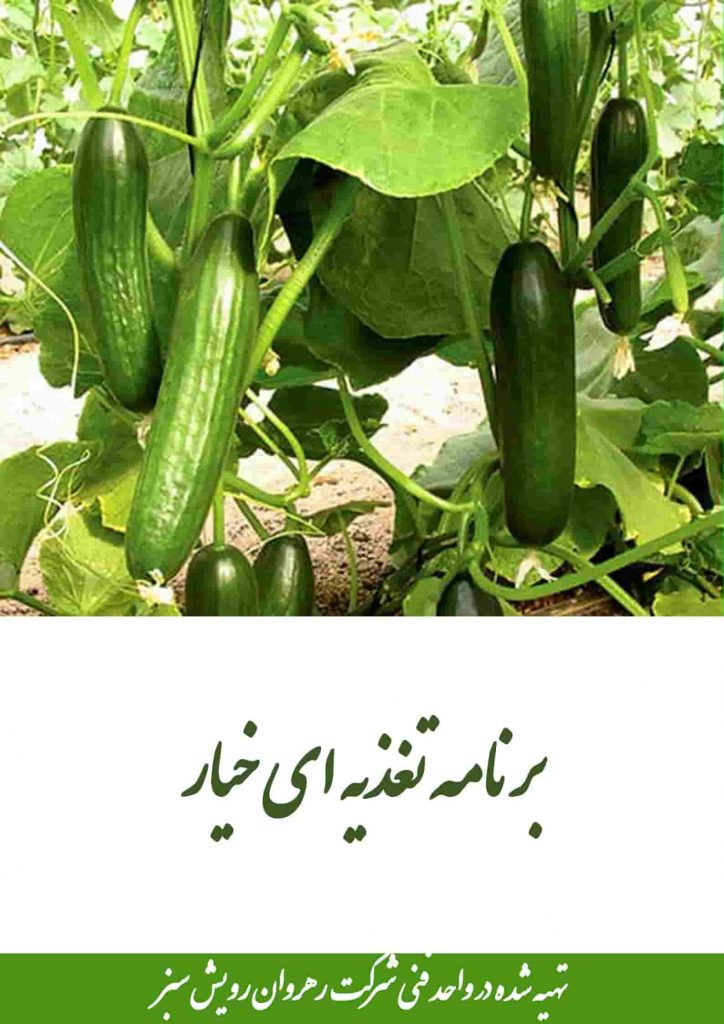 برنامه تغذیه ای خیار