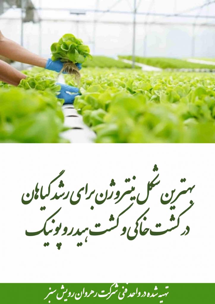 نینروژن در کشت هیدروپونیک
