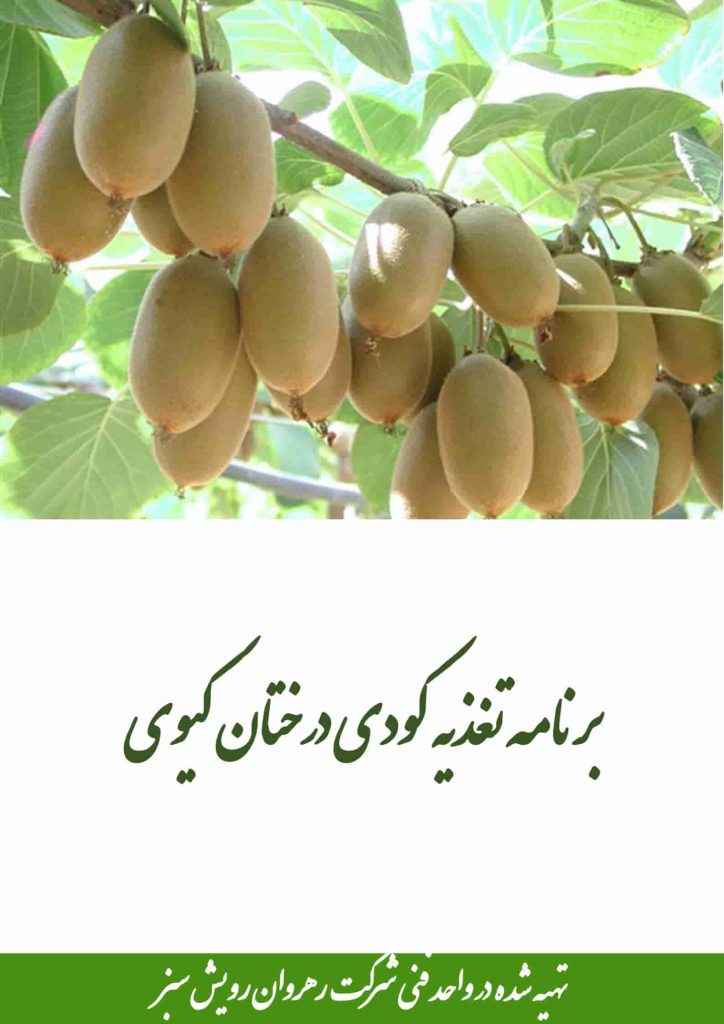 تغذیه کودی درختان کیوی