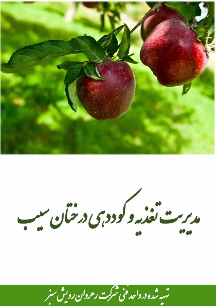 مدیریت تغذیه و کوددهی درخت سیب