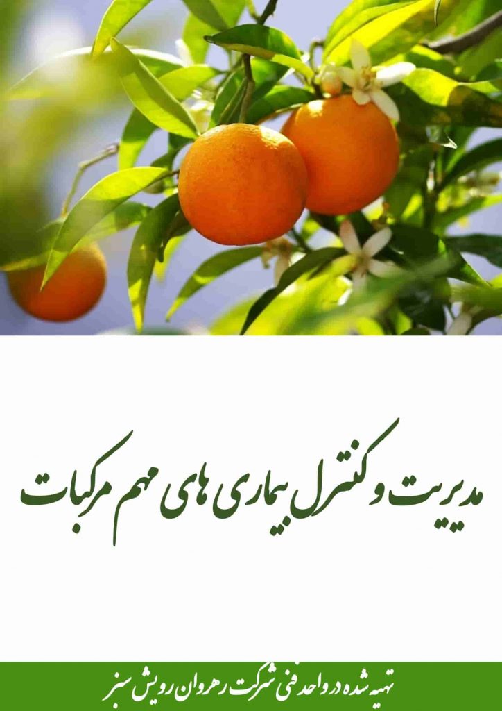 مدیریت و کنترل بیماری های مهم مرکبات