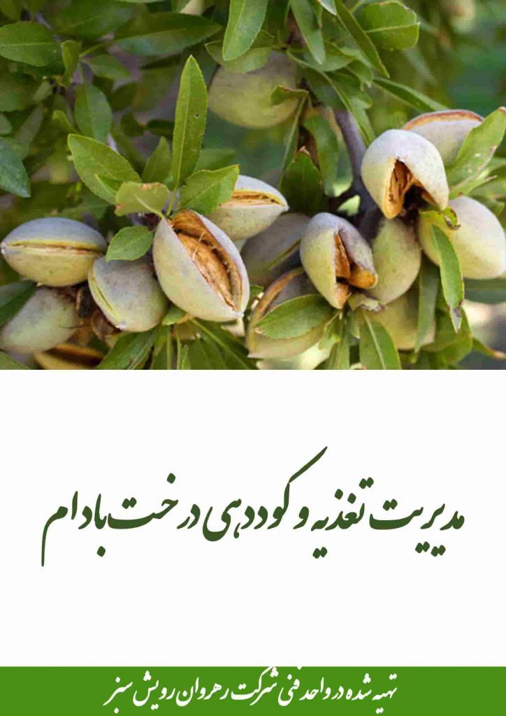 مدیریت تغذیه و کوددهی درخت بادام